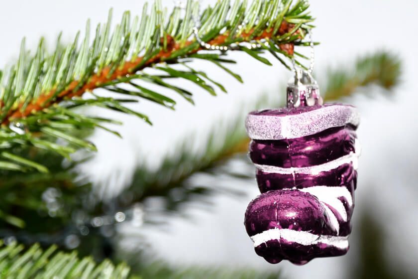 Seniorin sitzt im Rollstuhl und wird umsorgt